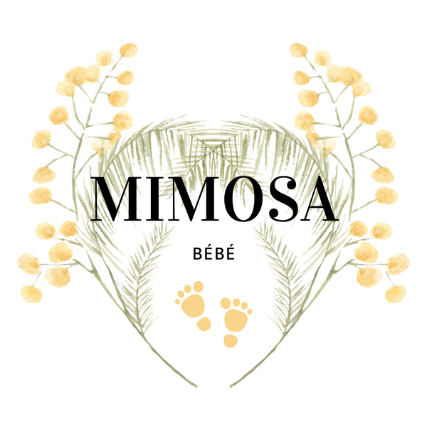 Mimosa Bébé